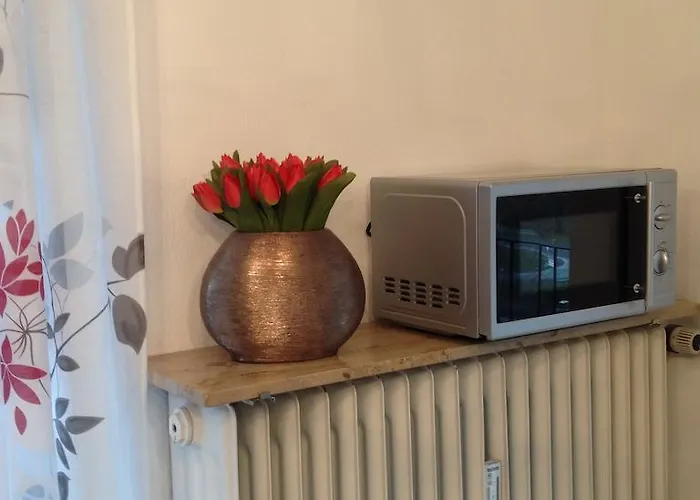 Lägenhet Ettelsberg Willingen (Upland)